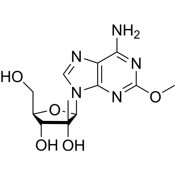 2′-β-C-Methyl-2-methoxyadenosine 1829554-43-9